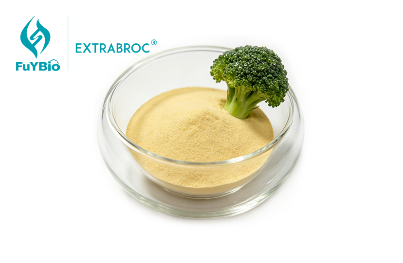 Broccoli Extract Powder